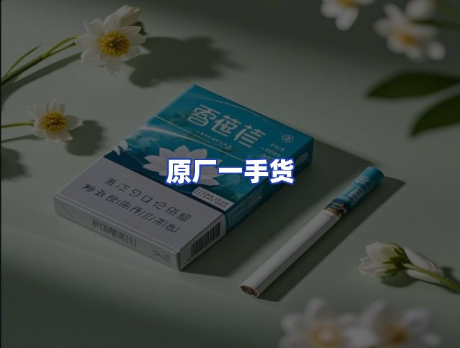 专业团队